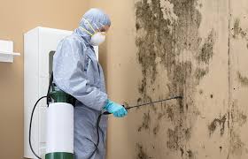 Best Biohazard Mold Removal  in USA